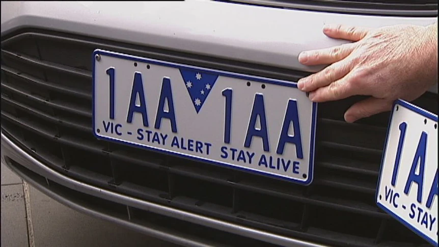 VIC Plate